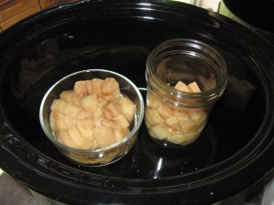 babyfood3