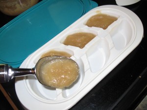 babyfood6