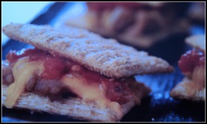 Spicy Bean Quesa