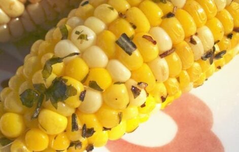 grilled corn grilled corn