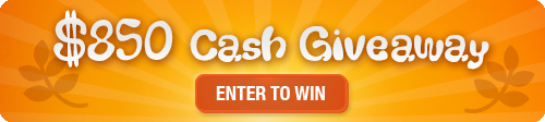$850_giveaway_fallrounded