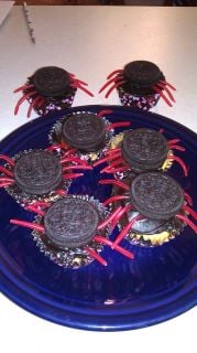 spider cupcakes