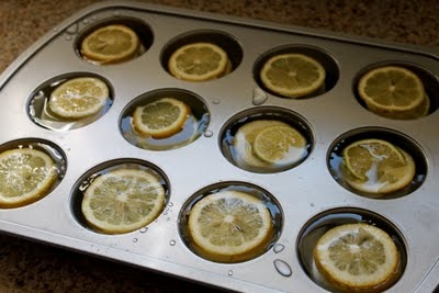 how to make lemon and lime icecubes summertime beverage