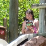 Disney Vacation 446