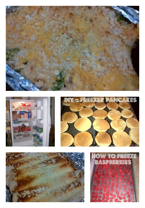 Freezer Cooking 101