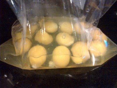 eggs1