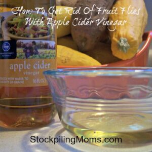 Fruit Flies
