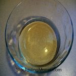 Fruit Flies1