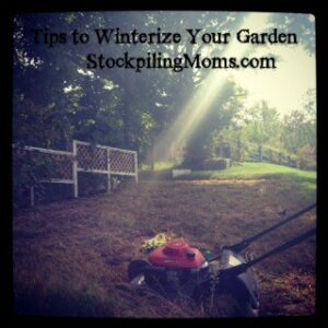 winterize garden
