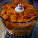 pumpkin puree 5