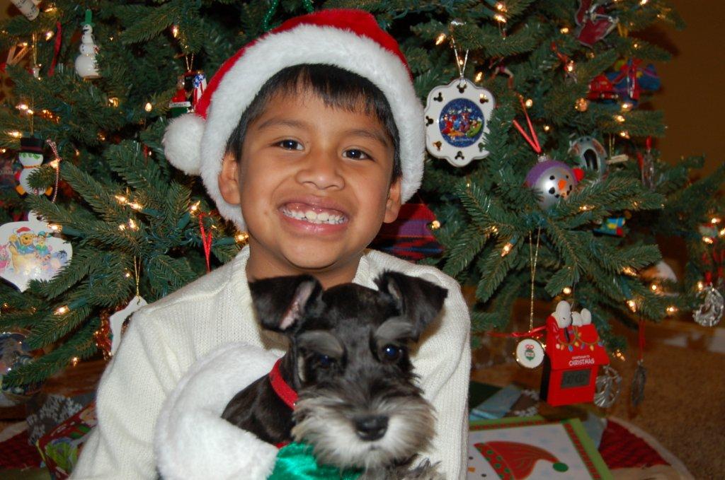 christmas 2012