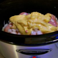 Crockpot Cheesy Chicken & Rice4