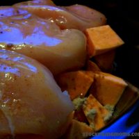 Crockpot Chicken & Sweet Potatoes3