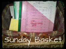 Sunday basket slash pockets